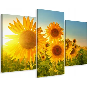 Obraz Obraz Tryptych SLUNEČNICE Západ Slunce 3D 60x40