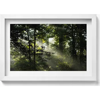 Obraz Obraz s bílým rámem a grafikou na zeď Sluneční paprsky a stromy 30x20 cm