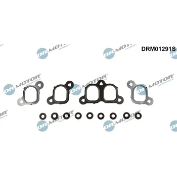 Těsnění motoru Sada těsnění, koleno sacího potrubí Dr.Motor Automotive DRM01291S