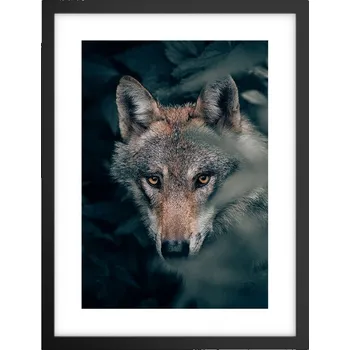 Obraz Obraz plakát v černém rámu do obýváku 30x40 vlk foto plakáty na zeď