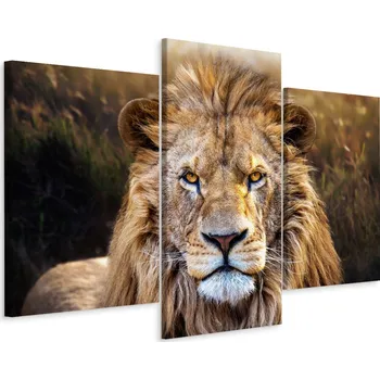 Obraz Obraz Triptych LEV Portrét Zvířete Dekor 3D 60x40