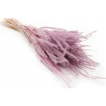 umělá květina Vřesovec květ sušený sušené rostliny