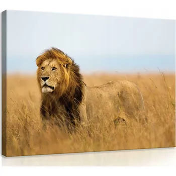 Obraz OBRAZ NA PLÁTNĚ CANVAS 60x40 LEV