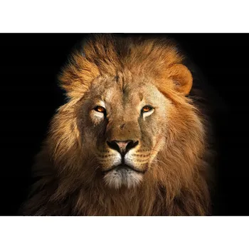 Obraz Skleněná Ochranná Deska a Krájecí Prkénko | Indukce, Sporák ds-0439