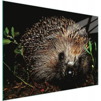 Kuchyňské prkénko Krájecí deska TMK ArtDeko sklo 1 ks