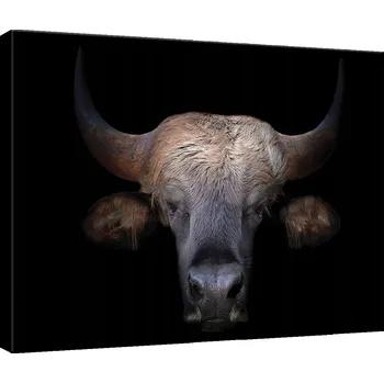 Obraz OBRAZ NA PLÁTNĚ CANVAS 60x40 BÝK BUVOL KRAVA