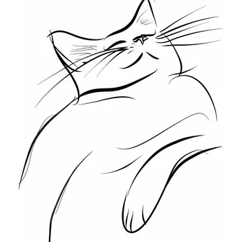 Plakát Plakát Náčrt spokojené kočky bez rámu 100 x 100 cm