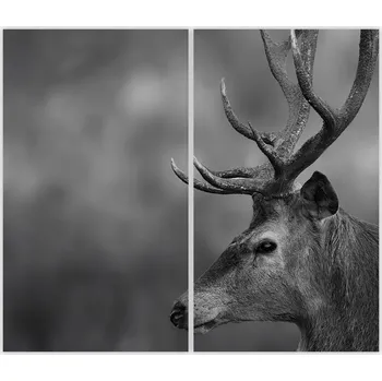 Kuchyňské prkénko Skleněná Ochranná Deska a Krájecí Prkénko | Indukce, Sporák ds-0204