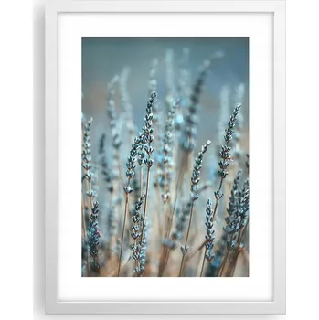 Obraz Obraz plakát v bílém rámu do obýváku 30x40 levandule foto plakáty na zeď