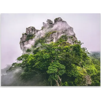 Obraz Skleněná Ochranná Deska a Krájecí Prkénko | Indukce, Sporák ds-0482