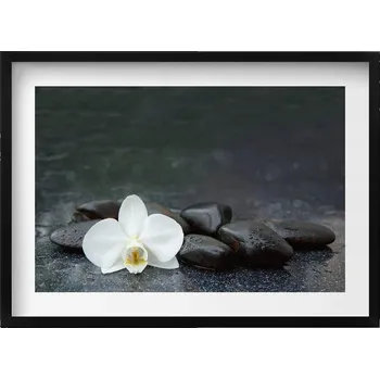 Obraz Ozdobný nástěnný obraz v rámu s grafikou Bílý květ kameny Zen 70x50 cm