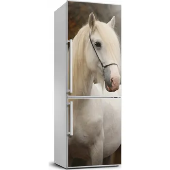 Fototapeta Samolepka / fólie na lednici - Bílý kůň XL