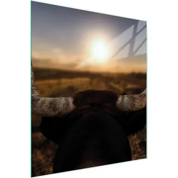 Kuchyňské prkénko Krájecí deska TMK ArtDeko sklo 1 ks