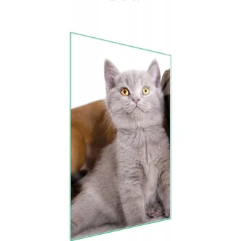 Kuchyňské prkénko Krájecí deska TMK ArtDeko sklo 1 ks