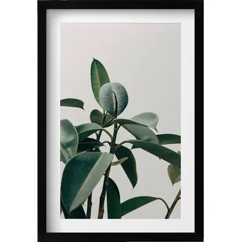 Obraz Stylový obraz v černém rámu Zelená rostlina minimalistický styl 40x60 cm