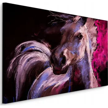 Obraz Obraz Canvas KŮŇ Malba Nástěnná Dekorace 40x30