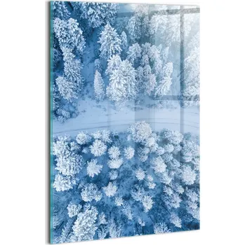 Obraz Skleněný foto obraz na zeď do ložnice – Les z ptačí perspektivy (dron)