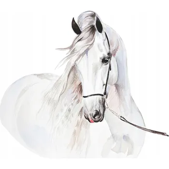 Fototapeta Naklejka na ścianę dla dzieci - Bílý kůň