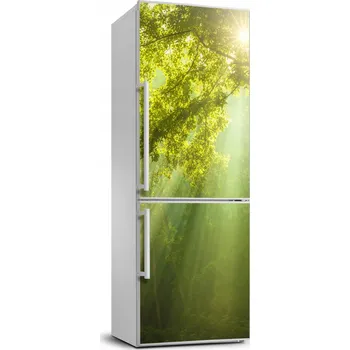 Fototapeta Fototapeta na ledničku Slunce v lese