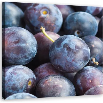 Obraz OBRAZ DO KUCHYNĚ Švestka makro 40x40