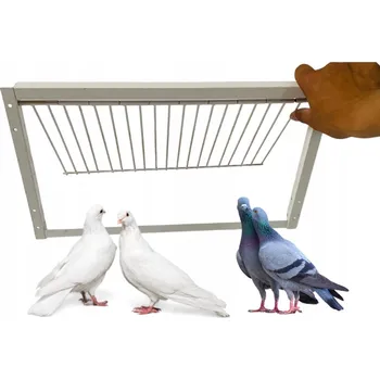 Obraz RÁMEČEK PRO VSTUPNÍ BUŇKU PRO HOLUBY 50 CM X 26 CM OCEL