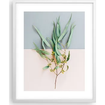 Obraz Plakát v bílém rámu 40x50cm Pastelový rostlinný Boho nástěnný obraz ARTTOR Moderní obraz do obývacího pokoje Obraz do ložnice Vertikální fotoobraz Plakáty na zeď Foto obrazy v rámech Umělecký tisk Nástěnná dekorace Rámeček Plexisklo rám akrylové sklo Módn