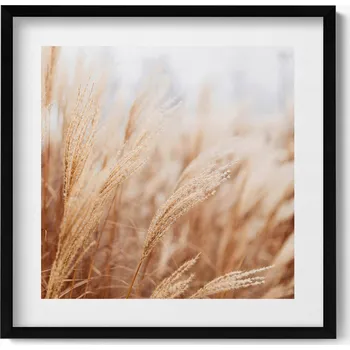 Obraz Obraz v černém rámu dekorace na zeď Natura boho trávy obilí 50x50 cm