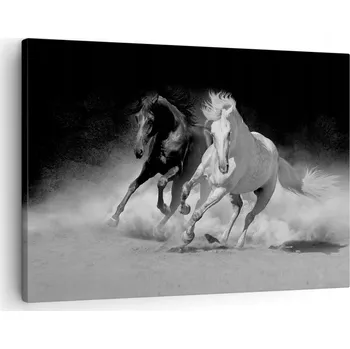 Obraz Obraz na plátně do obýváku, ložnice 70x50 zvířata foto obrazy na zeď