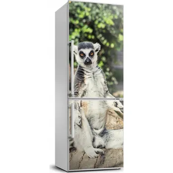 Fototapeta Samolepicí samolepící na ledničku Lemur 70x190