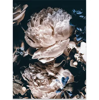 Obraz Plakát na zeď Květiny Pivoňky Černý Do Ložnice Obývacího pokoje Bez Rámu 70x50