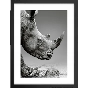 Obraz Obraz plakát v černém rámu do obýváku 30x40 nosorožec plakáty na zeď