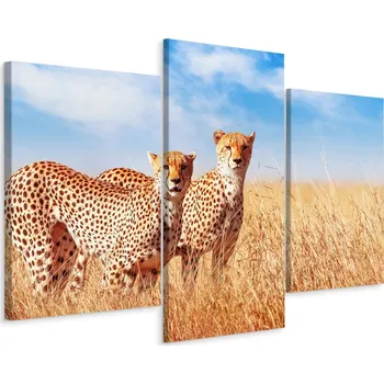 Obraz Obraz Triptych Gepardi Zvířata Serengeti 90x60