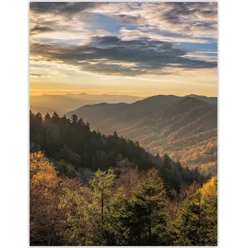 Obraz Skleněná Ochranná Deska a Krájecí Prkénko | Indukce, Sporák ds-0407