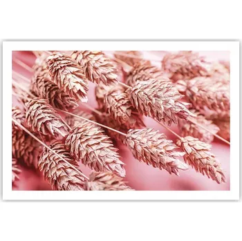 Obraz Obraz plakát do obýváku ložnice 91x61 květy sušené foto na zeď bez rámu