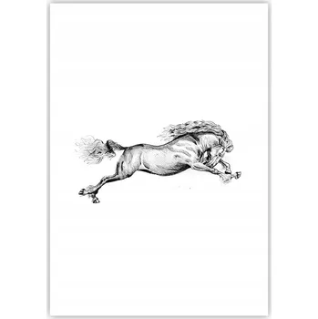 Obraz Plakát na zeď bez rámu 70x100 kůň foto-obraz plakáty do obývacího pokoje ložnice