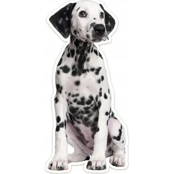 Samolepící dekorace Plyšová nálepka na zeď DALMATIN výška 70 cm