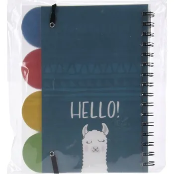 Zápisník Notes B6 Koopman vícebarevný