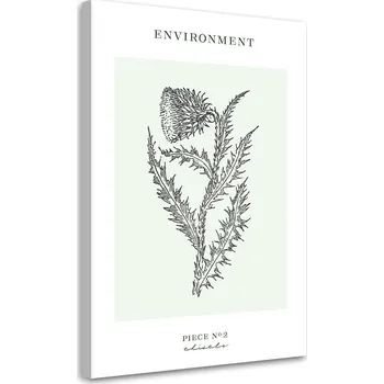 Obraz MODERNÍ OBRAZ Bodlák rostlina - Liniové umění NA PLÁTNĚ 60x90