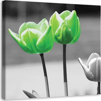 Obraz Obraz na plátně , Zelené tulipány v šedé barvě
