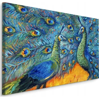 Obraz Obraz páví pera ptáci barevný do obýváku 70x50