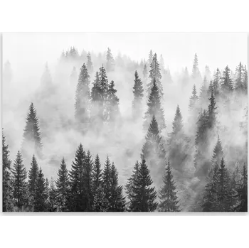 Obraz Skleněná Ochranná Deska a Krájecí Prkénko | Indukce, Sporák ds-0499