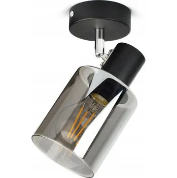 Závěsné stropní svítidlo Reflektor Černé sklo Glass Tube 535-EG1 LED E27