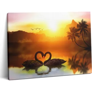 Obraz Fotografie Obraz Na Plátně Krásná černá labuť na jezeře 80x60 cm