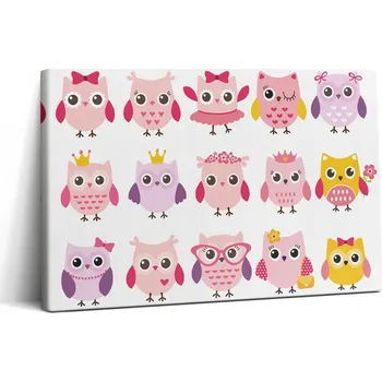 Obraz Obraz Canvas k Zavěšení do Kanceláře Barevné Sovy v Dětském Stylu 30x20