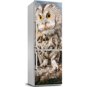 Fototapeta Samolepicí samolepící na ledničku Sova na kopci