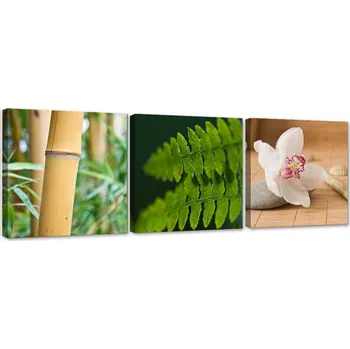 Obraz OBRAZ ZE 3 DÍLŮ Příroda Rostliny 150x50