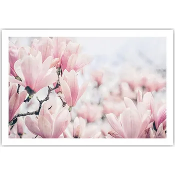 Obraz Obraz plakát do obýváku, ložnice 91x61 magnolie foto na zeď bez rámu