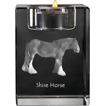 Svícen Hrabstwo - svícen s fotografií kočky, křišťálový podstavec na čajovou svíčku, p