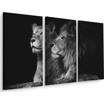 Obraz Obraz Tryptych LEV Lvice Zvířata Dekor 3D 60x40