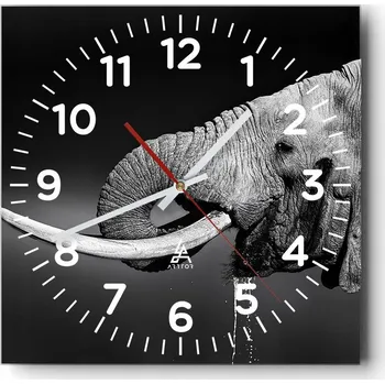 Hodiny Nástěnné hodiny do obýváku 40x40 Zvířata Bezhluczne Skleněné hodiny Tiché